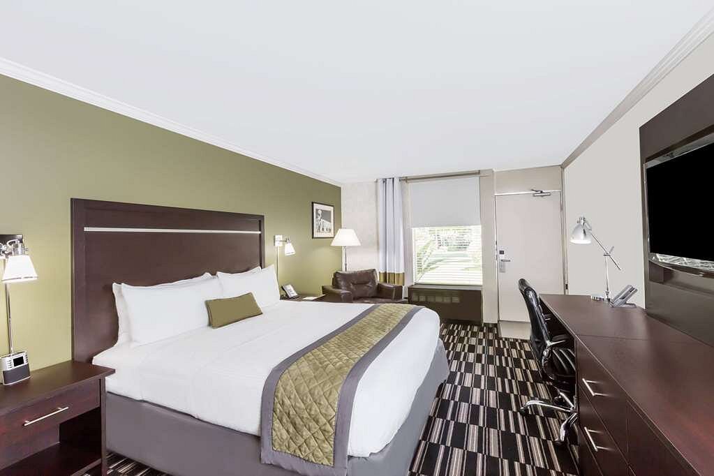 guest-room-2024-12-11T183656.635